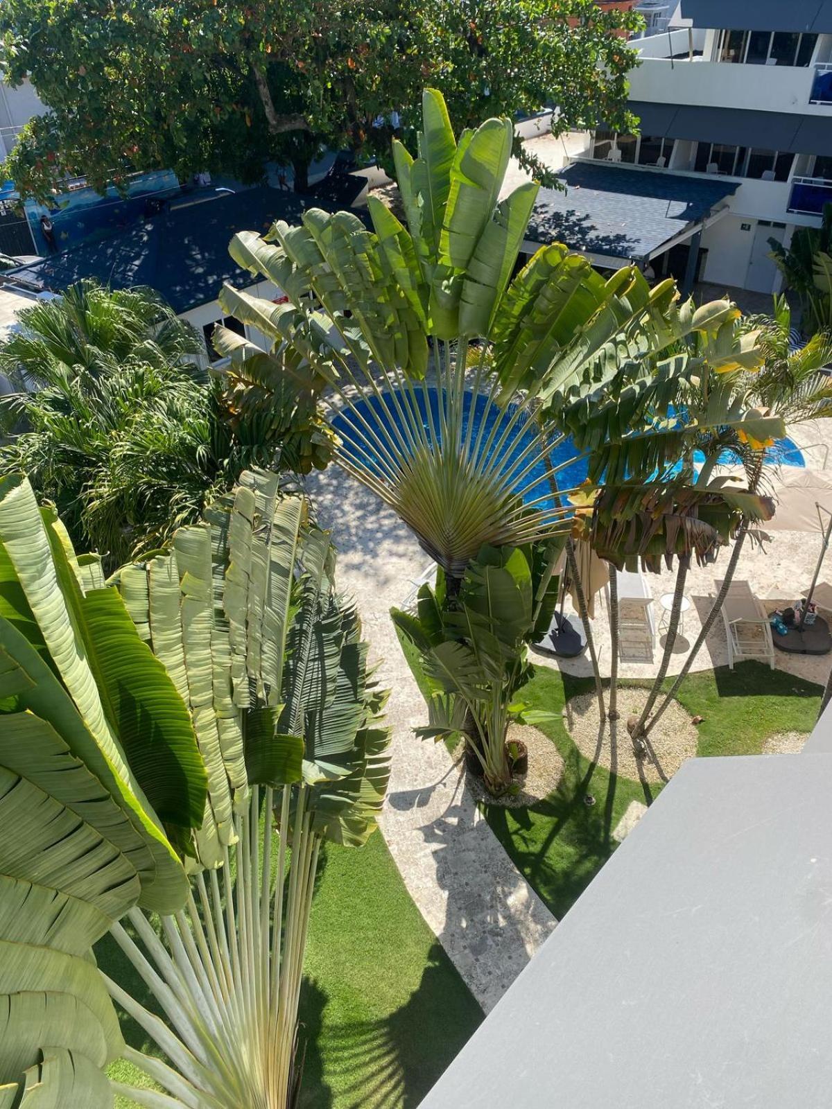 New Garden Hotel Sosúa Exteriör bild